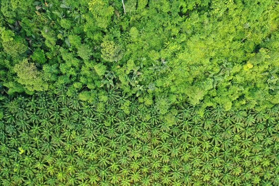 Environment and climate conservation
